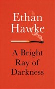 Zobacz : A Bright R... - Ethan Hawke