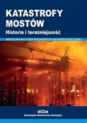 Katastrofy... - Wojciech Radomski -  foreign books in polish 
