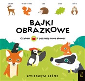 Bajki obra... - Patrycja Wojtkowiak-Skóra -  books from Poland