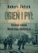 Ogień i py... - Robert Żółtek -  foreign books in polish 