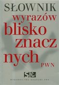 Słownik wy... - Lidia Wiśniakowska -  books from Poland
