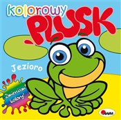 Książka : Kolorowy p... - Mirosława Kwiecińska