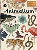 Polska książka : Animalium ... - Jenny Broom