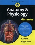 Zobacz : Anatomy an... - Erin Odya, Maggie A. Norris