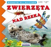 polish book : Zwierzęta ... - Joanna Paruszewska, Katarzyna Stocka