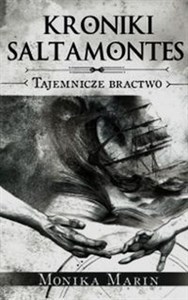 Picture of Kroniki Saltamontes Tajemnicze Bractwo