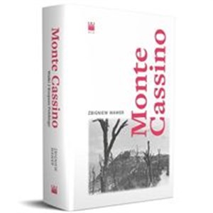 Picture of Monte Cassino