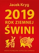 Książka : 2019 Rok Z... - Jacek Kryg
