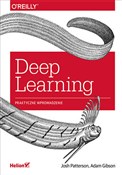 Deep Learn... - Patterson Josh, Gibson Adam - Ksiegarnia w UK