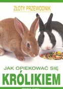 Jak opieko... - Amanda O'Neill -  books from Poland