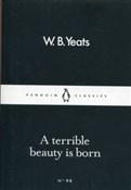 A Terrible... - W.B. Yeats - Ksiegarnia w UK