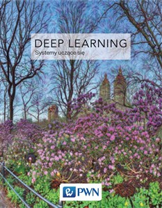 Picture of Deep Learning Współczesne systemy uczące się