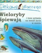 Polska książka : Ciekawe dl... - Caroline Harris