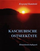 Kaschubisc... - Krzysztof Kamiński -  foreign books in polish 
