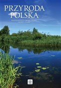 polish book : Przyroda P... - Opracowanie Zbiorowe