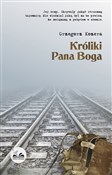 Polska książka : Króliki Pa... - Grzegorz Kozera