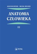 Anatomia c... - Adam Bochenek, Michał Reicher -  Polish Bookstore 