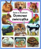 Domowe zwi... - Patricia Reinig -  books from Poland