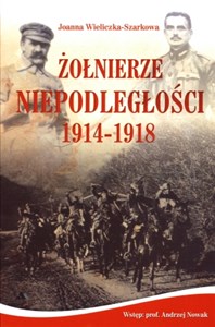 Obrazek Żołnierze Niepodległości 1914-1918 + CD