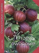 Polska książka : Krzewy owo... - Augustyn Mika