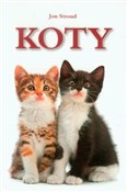 Książka : Koty - Jon Stroud