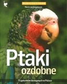 Ptaki ozdo... - Marcin Jan Gorazdowski -  books in polish 