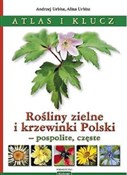 Rośliny zi... - Andrzej Urbisz, Alina Urbisz -  Książka z wysyłką do UK
