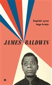 Polska książka : Zapiski sy... - James Baldwin