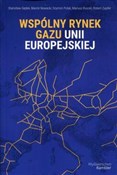 Wspólny ry... - Stanisław Gędek, Marcin Nowacki, Szymon Polak, Mariusz Ruszel, Robert Zajdler -  foreign books in polish 