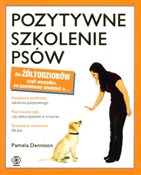 Pozytywne ... - Pamela Denninson -  Polish Bookstore 
