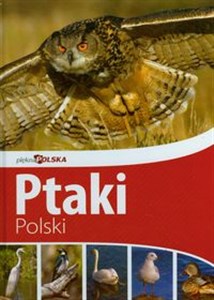 Picture of Piękna Polska Ptaki Polski