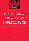 Bezpieczeń... - Magdalena Redo, Katarzyna Wójtowicz, Jolanta Maria Ciak -  foreign books in polish 