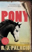 Pony - R. J. Palacio - Ksiegarnia w UK
