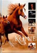 polish book : Konie - Ewa Walkowicz