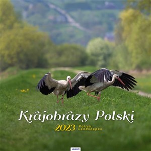 Picture of Kalendarz 2023 spirala Krajobrazy Polski KD35