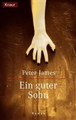 Ein guter ... - Peter James -  foreign books in polish 