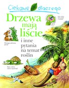 Polska książka : Ciekawe dl... - Andrew Charman