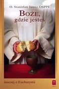 Polska książka : Boże, gdzi... - Stanisław Jarosz