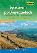 Spacerem p... - Stanisław Orłowski -  foreign books in polish 