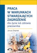 Praca w wa... - Janusz Żołyński -  Polish Bookstore 