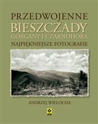 Przedwojen... - Andrzej Wielocha -  books from Poland