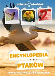 Picture of Encyklopedia ptaków Dobrze wiedzieć Poznajesz fascynujący świat ptaków