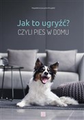 polish book : Jak to ugr... - Magdalena Łęczycka-Mrzygłód