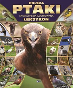 Picture of Polska ptaki encyklopedia ilustrowana leksykon