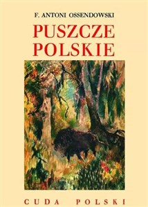 Picture of Puszcze polskie