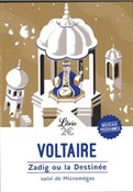 Książka : Zadig ou l... - Voltaire