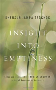 Obrazek Insight into Emptiness