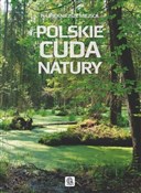 Polskie cu... - Michał Duława, Jacek Bronowski -  books from Poland