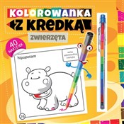 Kolorowank... - Marcin Południak -  foreign books in polish 