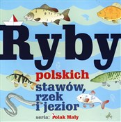 polish book : Ryby polsk... - Władysław Fisher